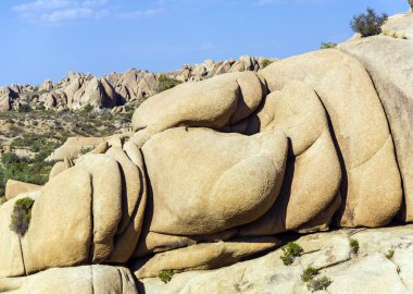 joshua tree national Park doğal kayalar 