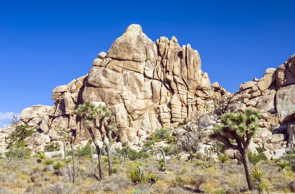 Vackra stenar i joshua tree national park i gömda dalen — Stockfoto