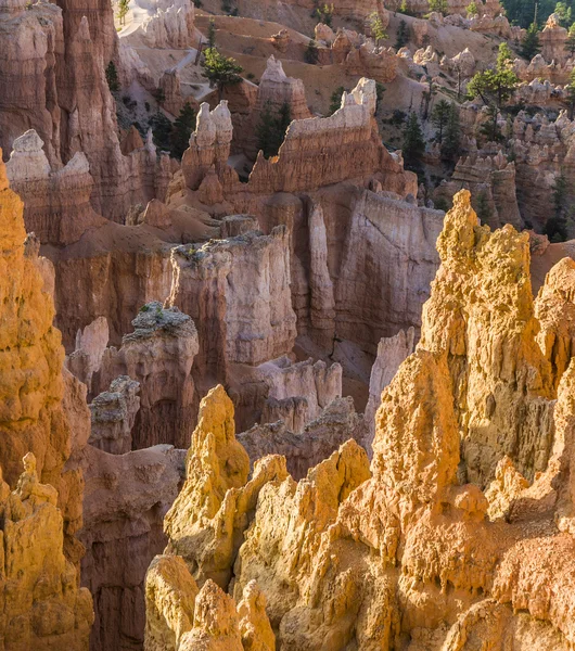 Kaunis maisema Bryce Canyon — kuvapankkivalokuva