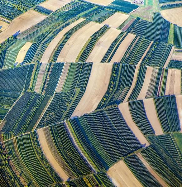 Luftaufnahme von grünen Feldern und Hängen — Stockfoto