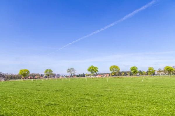 Rurale landschap met huizen aan de horizon — Stockfoto