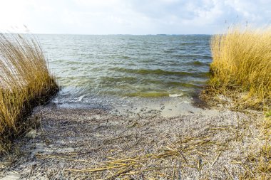 çim achterwasser sazlar 