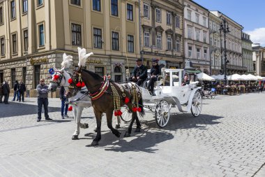 insanlar atlı arabası market Square tadını çıkarın.