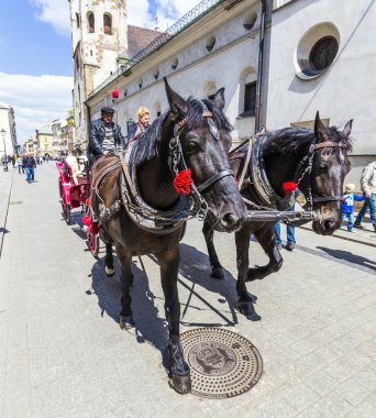 insanlar atlı arabası market Square tadını çıkarın.