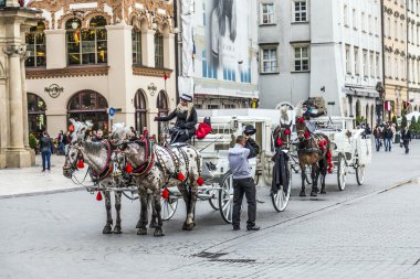 insanlar atlı arabası market Square tadını çıkarın.