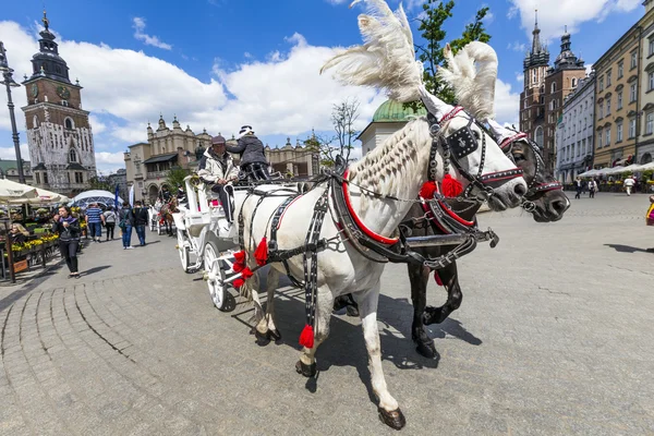 La gente disfruta del carruaje tirado por caballos en la Plaza del Mercado —  Fotos de Stock