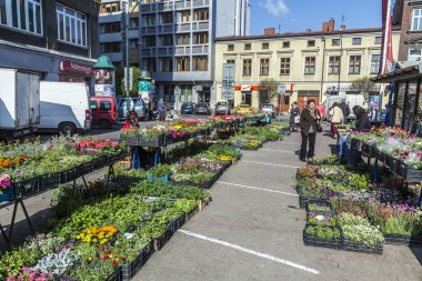 insanlar Pazar stary kleparz Krakow, p, mallarını satmak