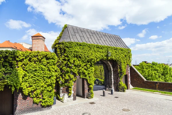 Barbacane de Cracovie - fortifications médiévales aux remparts, Pologne — Photo