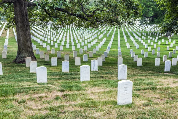 Mezar taşları üzerinde arlington Ulusal Mezarlığı — Stok fotoğraf