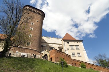 Krakow güneşli Wawel Kalesi 