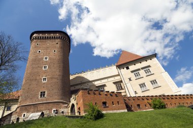 Krakow güneşli Wawel Kalesi 