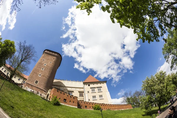 Wawel Slot på solrig dag i Krakow - Stock-foto