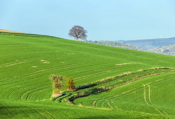 Lijnen en golven in detail bekijken de velden — Stockfoto