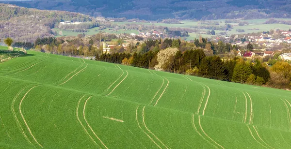 Lines and waves in detail look at the fields — Stock Photo, Image