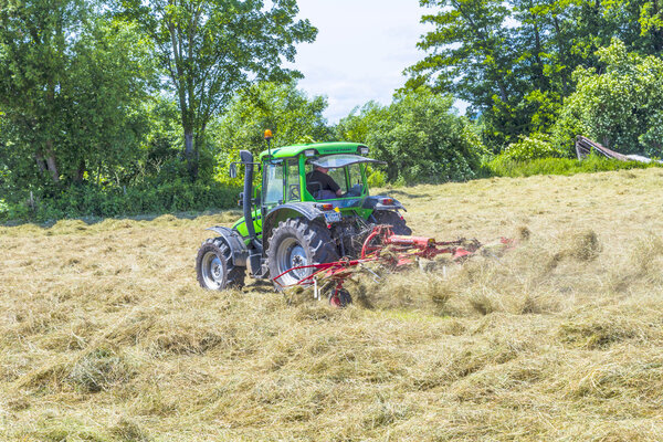 tractor in meadow making hay