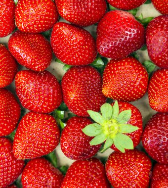 taze kırmızı çilek closeup arka plan 