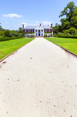 Boone hall ekimi ve bahçeler 