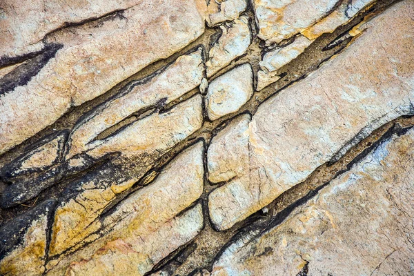 Belo padrão em pedra na costa — Fotografia de Stock