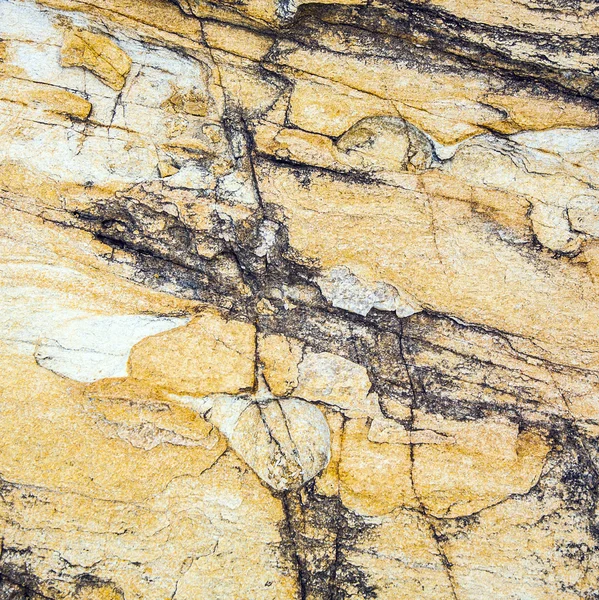 Beautiful pattern in Stone at the coast — Stock Photo, Image