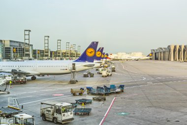 Lufthansa uçağı ayakta terminal 1, frankfurt airp