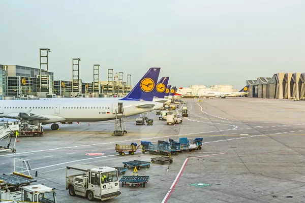 Lufthansa Aviones de pie en la terminal 1 en el aeropuerto de Frankfurt —  Fotos de Stock