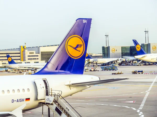 Lufthansa Aviones de pie en la terminal 1 en el aeropuerto de Frankfurt —  Fotos de Stock
