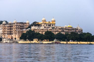 pushkar Gölü, inekler