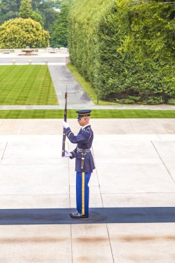 bekçi arlington Ulusal Mezarlığı Washington, değiştirme