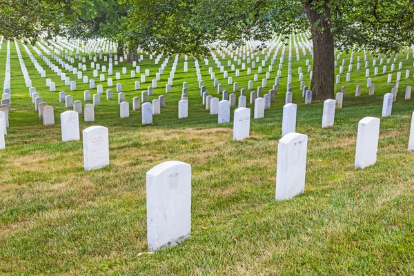 Mezar taşları üzerinde arlington Ulusal Mezarlığı — Stok fotoğraf