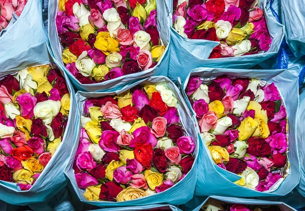 Fiori colorati al mercato dei fiori — Foto Stock