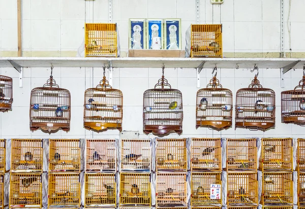 Aves em uma gaiola no mercado de aves em Hongkong — Fotografia de Stock