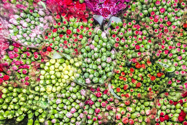 Mooie bloemen op de bloemenmarkt in hong kong — Stockfoto