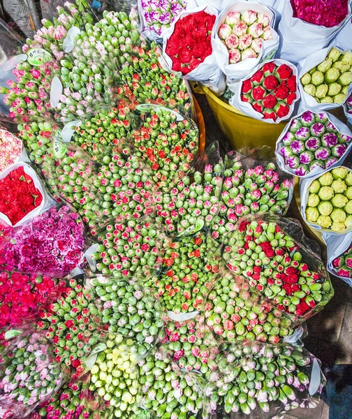 Beautiful flowers at the flower market in Hong Kong — Stock Photo, Image