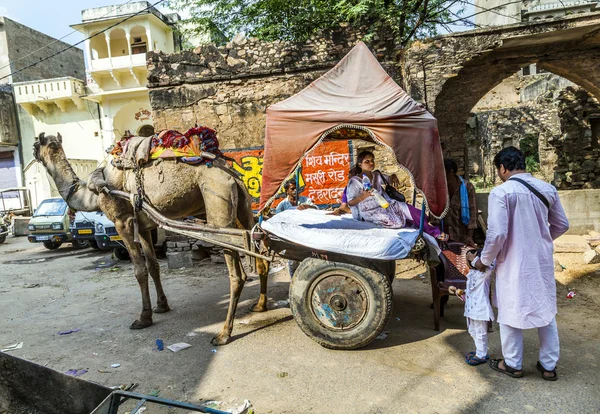 Family uses camel taxi in Pushkar — Stock Photo, Image