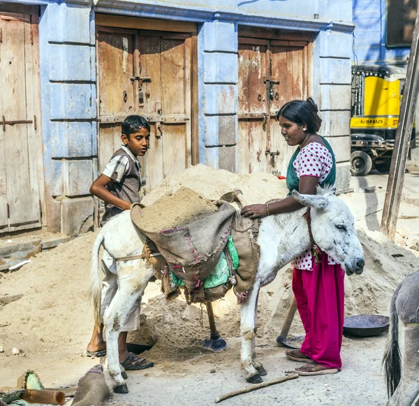 Indisk kvinnlig arbetare laddar åsnan med sand — Stockfoto