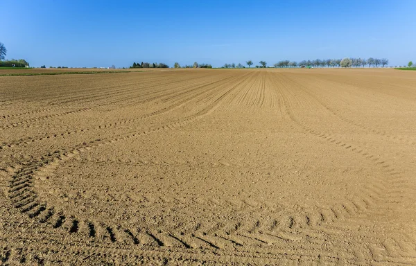 Ağaçlar sıra ile taze sürülmüş acre — Stok fotoğraf