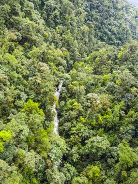 rio mindo, Batı Ekvator, nehir cloudforest ile çalışan