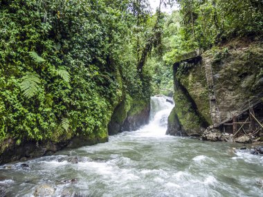 Rio Mindo, western Ecuador, river running through cloudforest at clipart