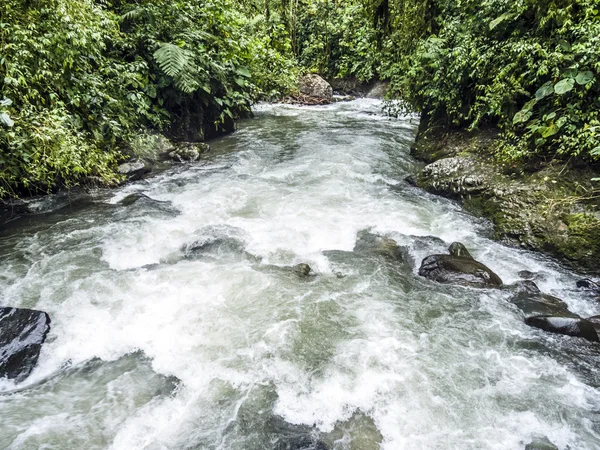 Rio Mindo, Ecuador occidentale, fiume che scorre attraverso la foresta pluviale a — Foto Stock