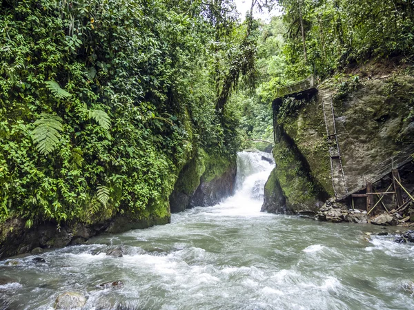 Rio Mindo, western Ecuador, river running through cloudforest at — Stock Photo, Image