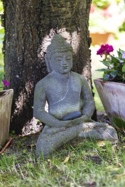 Buda heykeli meditasyon kiraz ağacı önünde 