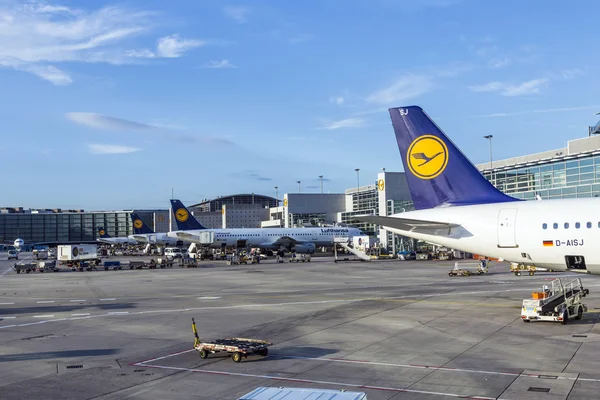 Lufthansa letadla stojí u terminálu 1 — Stock fotografie