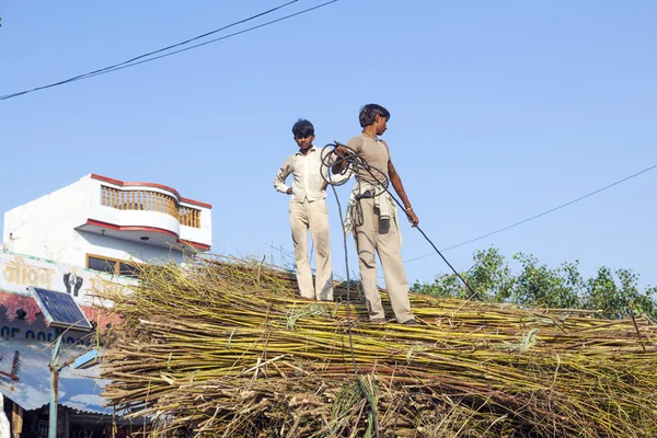 Mannen laden het stro op de trekker na de oogst — Stockfoto