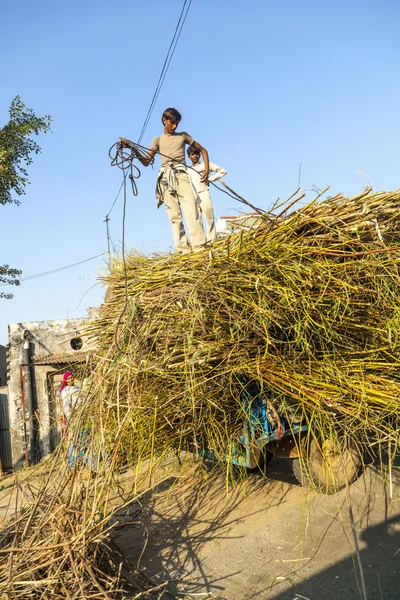 Mannen laden het stro op de trekker na de oogst — Stockfoto