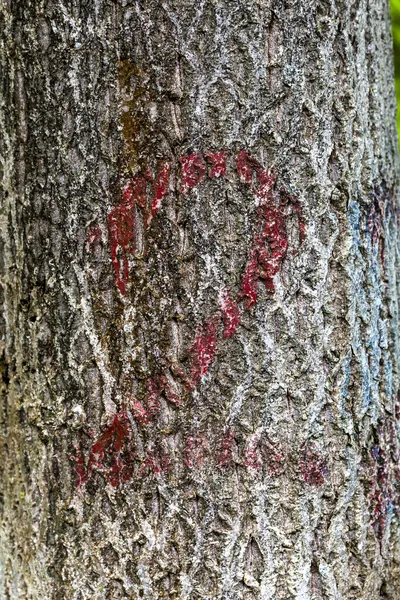 Closeup photo of the number two painted onto a tree trunk — Stock Photo, Image