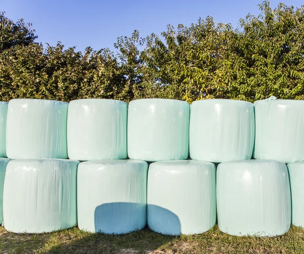 Bale of straw in plastic after harvest to be protected from wetn — Stock Photo, Image