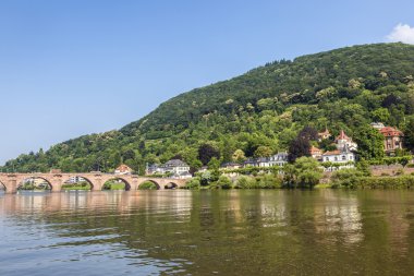 Old bridge in Heidelberg - Germany  clipart
