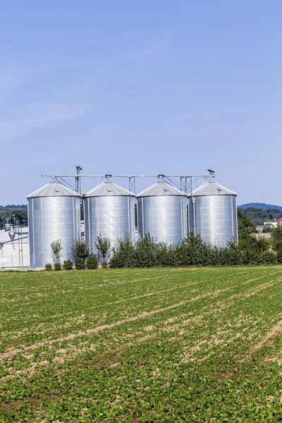 Cuatro silos de plata en el campo — Foto de Stock