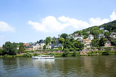 neckar Nehri cruise gemisi
