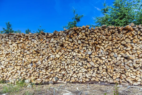 Veel houten palen onder blauwe heldere hemel — Stockfoto